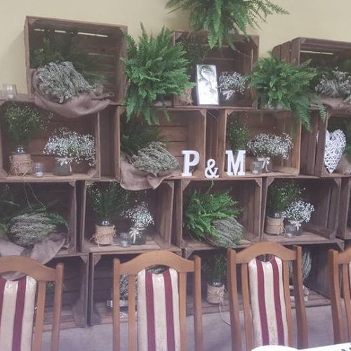 spim6